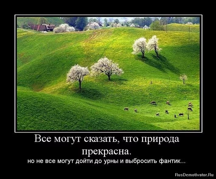 умные фразы про природу. красота природы высказывания красивые. статусы про природу. цитаты про природу. афоризмы о природе.