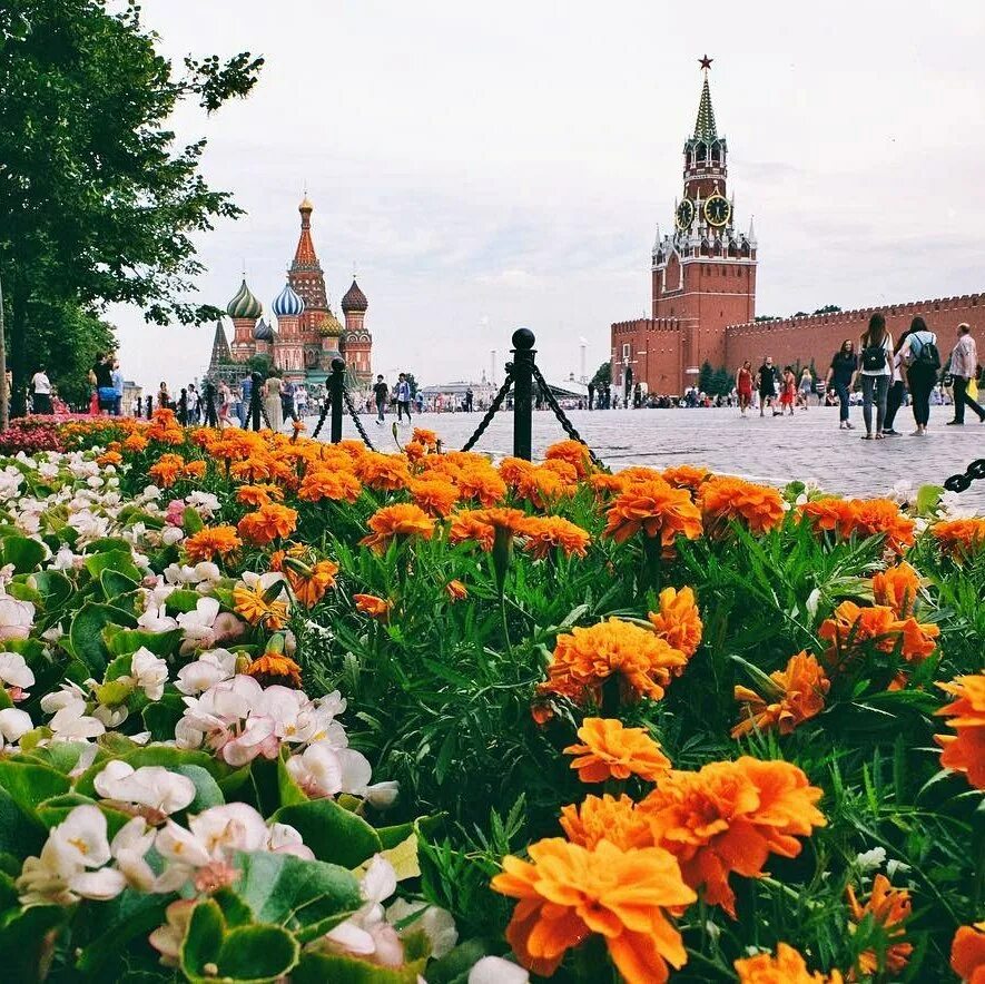 Цветы пл. Тюльпаны на красной площади. Москва в цветах.