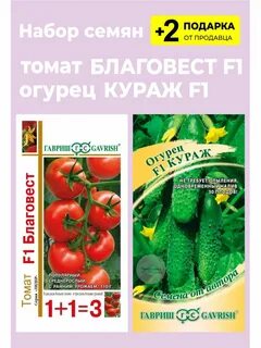 Благовест томат описание
