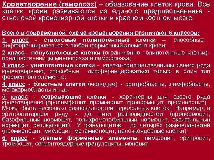 Обеспечивает кроветворение. Кроветворение кратко. Типы кроветворения. Схема гемопоэза. Современная теория кроветворени.