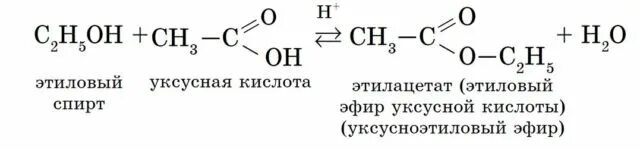 Химические свойства спиртов. Реакция этерификации этилового спирта. Продукт взаимодействия этанола с этанолом. Метан и вода реакция. Химические свойства спиртов замещение.