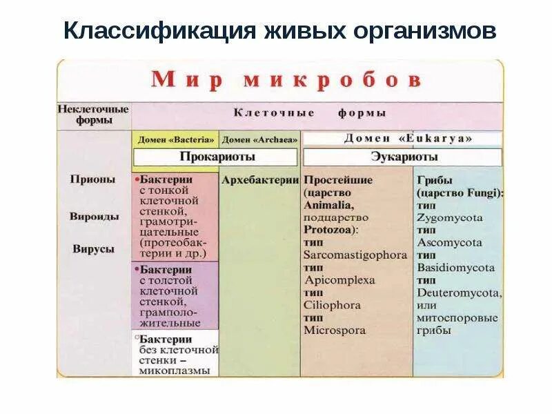 Домен организмов. Систематика живых организмов. Классификация живого. Экологическая классификация организмов. Принципы экологической классификации живых организмов;.