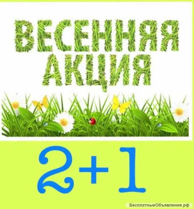 Весенние скидки. Весенняя акция 20%. Весенняя акция моя семья моя москва ответы