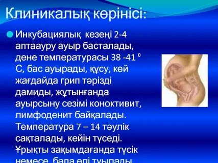 Мәскеулік жезөкшелер: армян және қытай