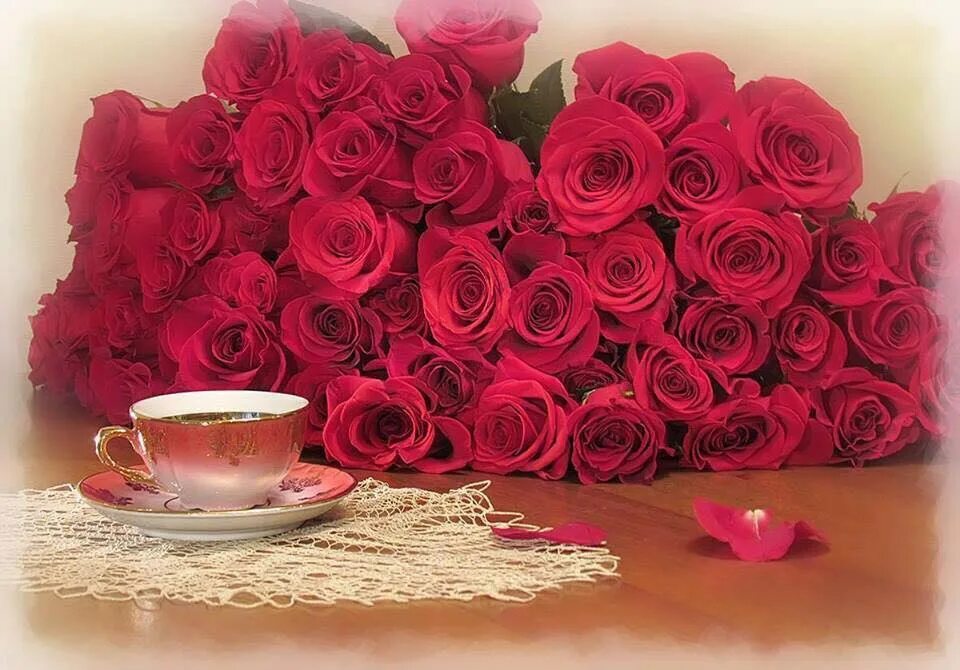 С добрым утром розы красивые с пожеланиями