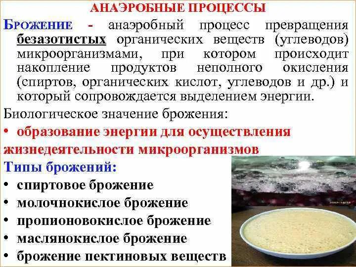 В бескислородных условиях живет. Схема брожения бактерий. Брожение микроорганизмов. Брожение органических веществ. Брожение анаэробный процесс.