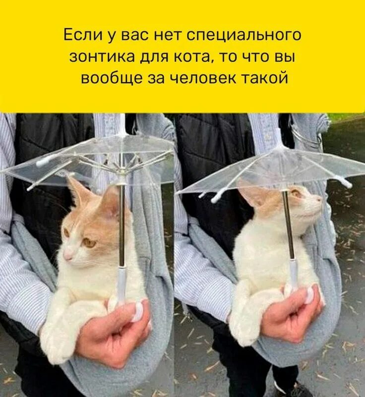 У него нет специальной