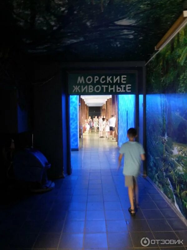 Океанариум сочи мацеста. Морской зоопарк на мацесте сочи. Морской зоопарк на мацесте сочи. Океанариум адлер. Океанариум сочи мацеста.