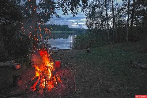 Лето костер ночь