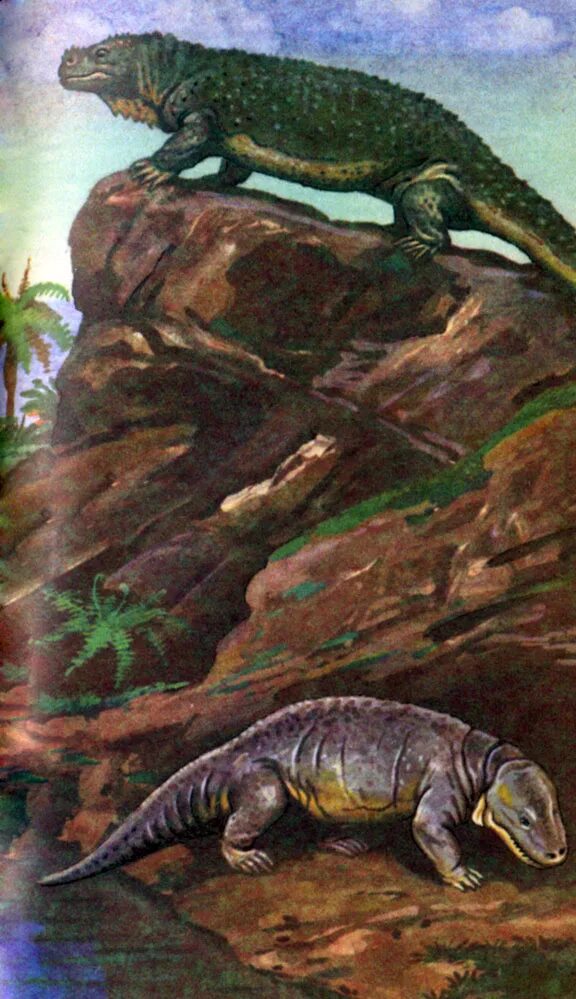 первые земноводные стегоцефалы