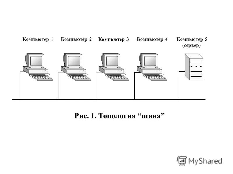 Одноранговая сеть с топологией линейная шина. Схема локальной сети топологии шина. Шинная топология локальной сети. Схема одноранговой локальной сети.