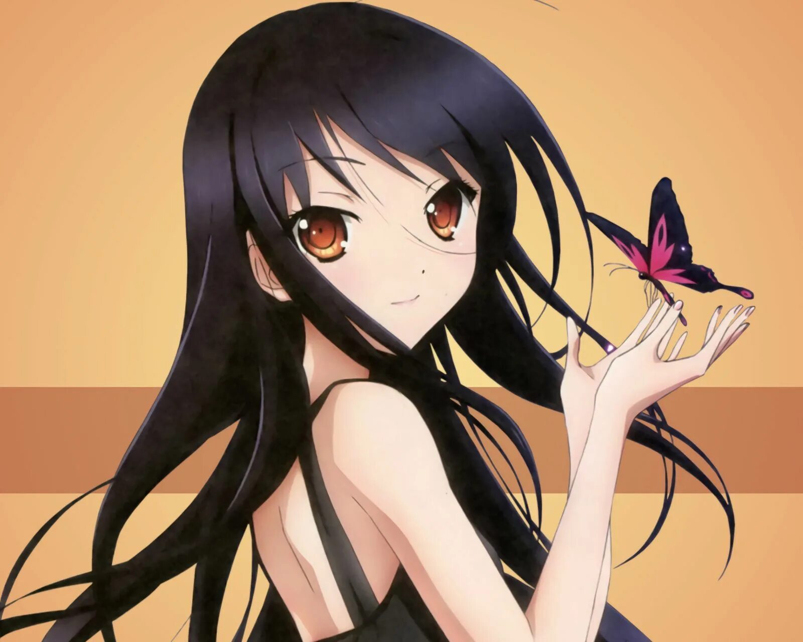 Черноснежка. Accel World Куроюкихимэ. Ускоренный мир Куроюкихимэ.