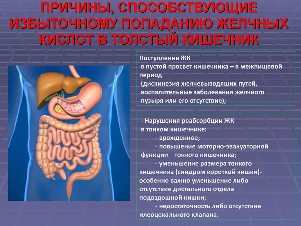 Проблемы с кишечником у ребенка. Дискинезия кишечника. Дискинезия тонкой кишки. Функциональные заболевания желудочно-кишечного тракта. Заболевания связанные с кишечником.