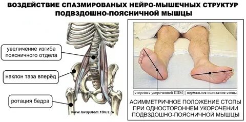 Дергается нога причины