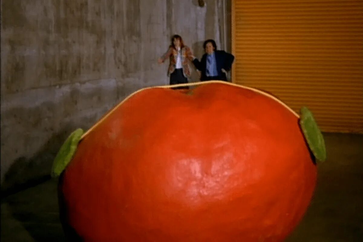 Tomato movie. Возвращение помидоров убийц 1988. Fried green tomatoes 1991. Tomato movie. Атака помидоров-убийц 1978.