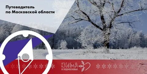 Погода в ноябре 2024 в подмосковье