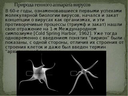 История вирусов биология