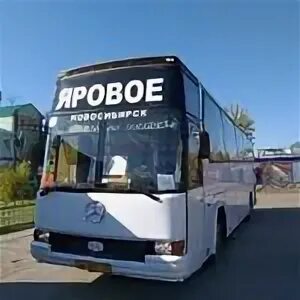 Автобус славгород яровое 102 маршрут. Яровое новосибирск. яровое автобус. автостанция яровое. автобус славгород новосибирск.