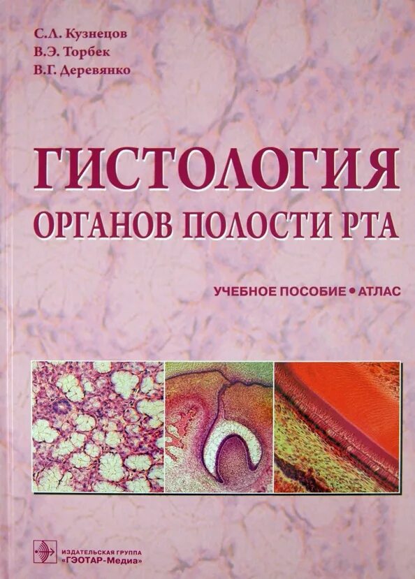 Гистология учебник. Кузнецов сергей львович гистолог. атлас по гистологии кузнецов мушкамбаров стоматология. кузнецов с.л. &quot;гистология&quot;. гистология учебное пособие атлас.