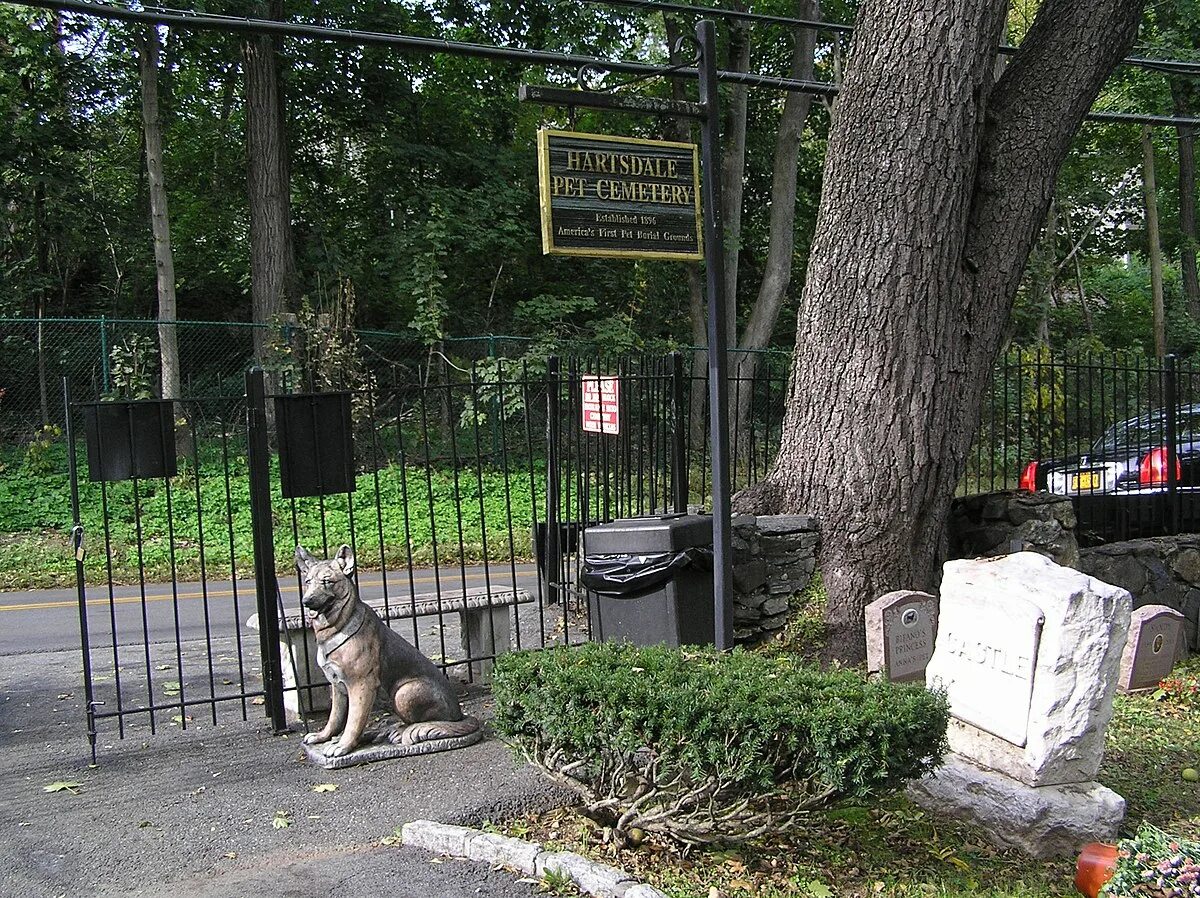 Pet cemetery. Hartsdale Нью Йорк кладбище. Нью-Йоркское кладбище домашних животных. Кладбище домашних животных в Нью Йорке. Кладбище домашних животных Сестрорецк.