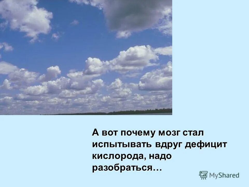 Почему растения в воде испытывают дефицит кислорода. Почему растения в воде испытывают дефицит кислорода