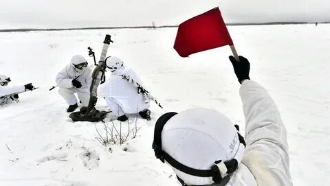 Арктические мотострелковые бригады