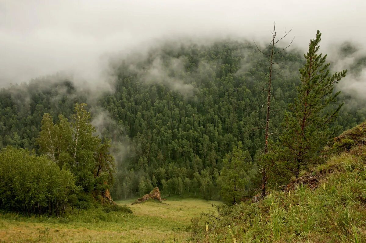 Набежавший туман. Утренний туман картинки. Взрыв в тумане. Набежавший туман скрыл от нас японское судно впр. Пейзаж туман.