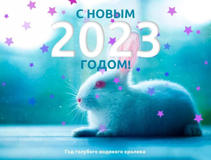 2023 год синего. С новым годом 2023. 2023 Год картинки красивые. С новым 2023 годом кролика картинки красивые. Голубой водяной кролик 2023 новый год.