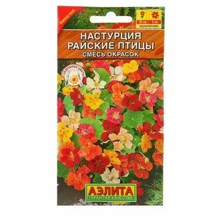 Настурция махровая смесь окрасок выращивание из семян