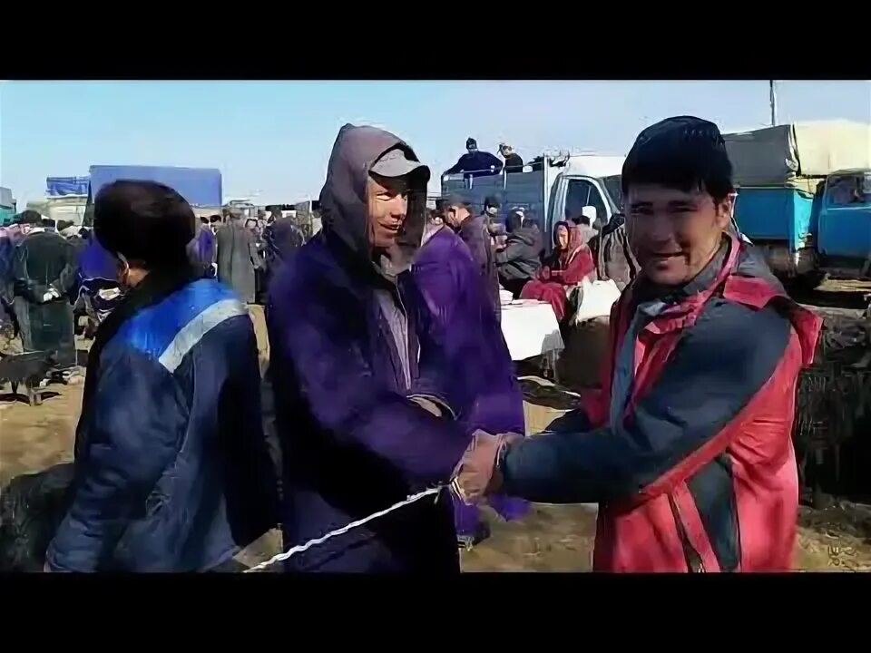 Город камаши. Об хаво кашкадаре камаши кизилтепа. Qashqadaryo qamashi. Камаши кизилтепа. Об хаво кашкадаре камаши кизилтепа.