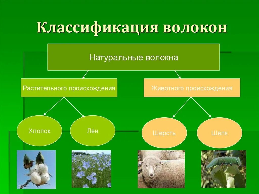 Классификация натуральных волокон растительного происхождения. Натуральные волокна животного происхождения. Натуральные волокна растительного и животного происхождения. Натуральные ткани растительного происхождения. Растительная шерсть