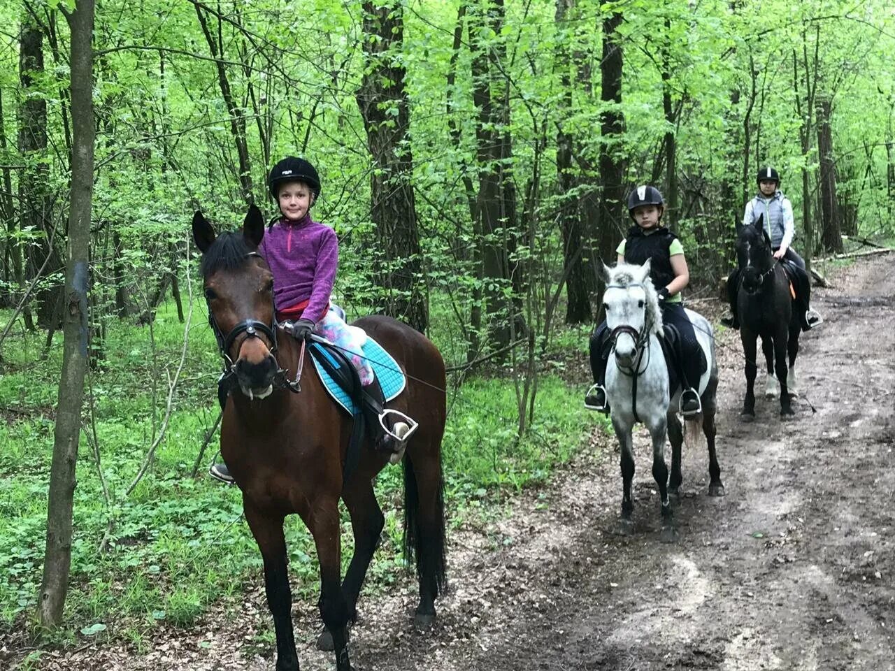 где покататься на лошадях в москве. катание на лошадях в москве. кск сивка. где покататься на лошадях в москве. конный клуб дзержинский.