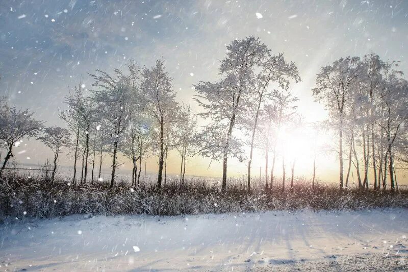 фото немного заснеженной земли. рязань зимой фото. весна близко. немного снежно. рязань зимой.