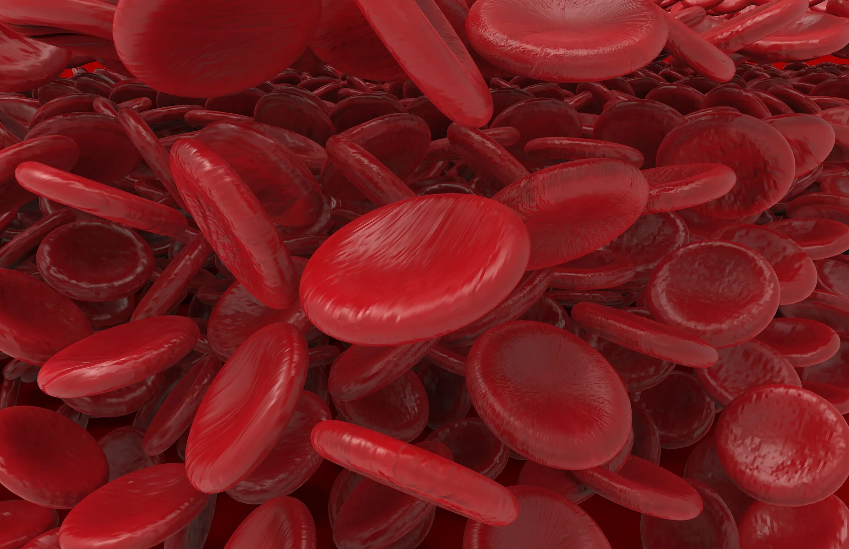 Клетки крови эритроциты. Blood cells. Blood cells. Эритроциты. Blood cells.