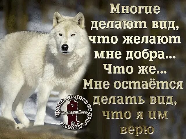 не желай многого. открытка желаю успехов. открытки с пожеланиями. выбор за вами. не желай многого.