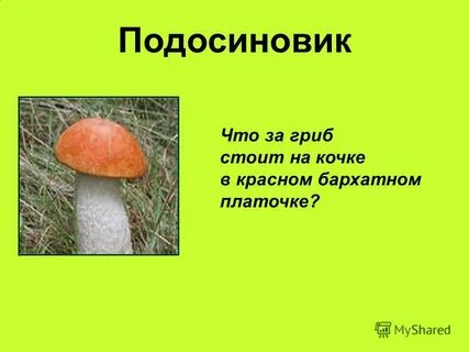 Составить познавательный текст про подосиновик