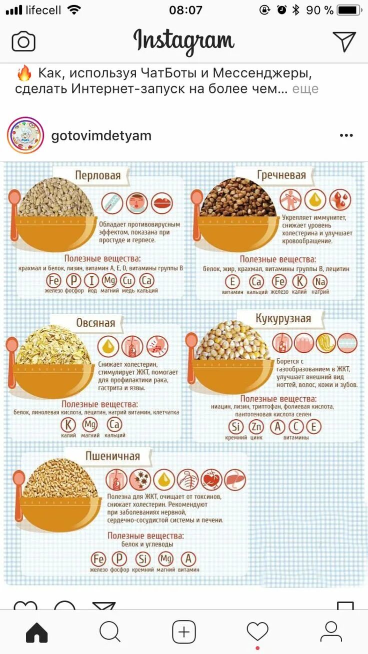 Время варки кукурузной каши на воде. Путеводитель по кашам инфографика. как варить каши инфографика. путеводитель по кашам. предводитель по кашам.