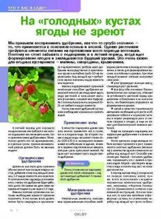 Удобрение весной для плодовых деревьев и кустарников