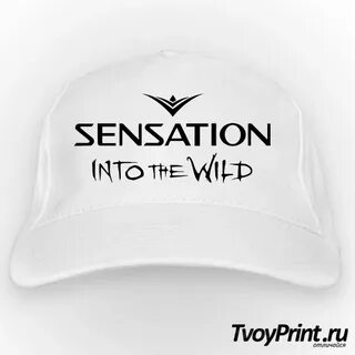 Into sense