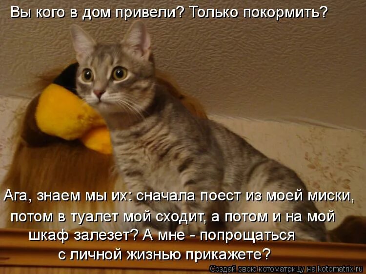 сын остается сыном. мем с фотографией и девушкой. смешные комплименты женщине. семейная ссора. анекдот про козу.