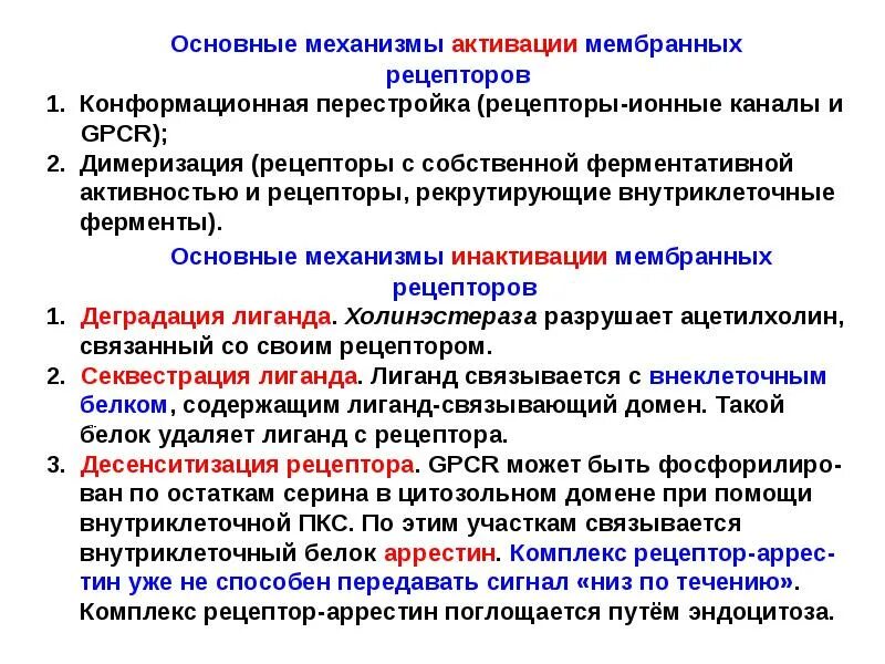 Рецепторные тирозинкиназы. Цитокиновый рецептор. Механизм возбуждения рецепторов коротко. Внутриклеточные рецепторы. Механизмы активации рецепторов.