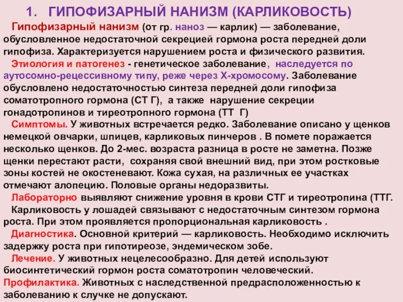 Какими чертами обладают гипофизарные лилипуты. Недостаток гормона роста. Гипофизарный гормон роста. Какими чертами обладают гипофизарные лилипуты. Гигантизм и карликовость.