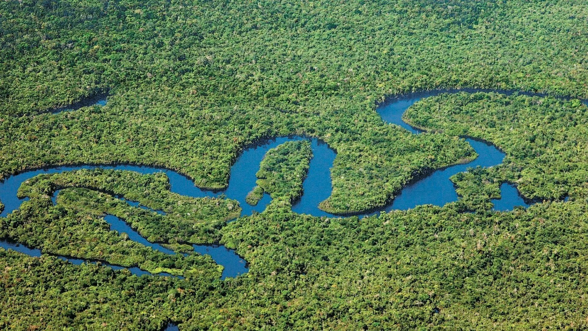 Амазонка сток. Южная Америка река Амазонка. Амазония река Амазонка. Бразилия Амазонская низменность.