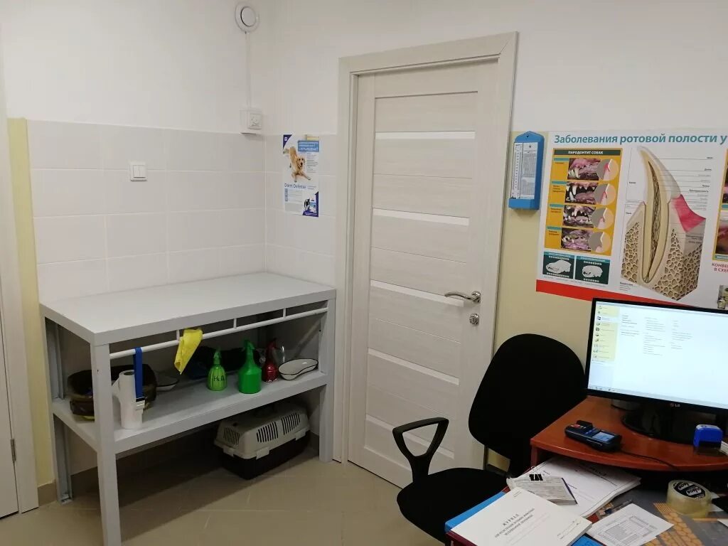 ветеринар лазурная. ветклиника барнаул адреса. ветклиника барнаул адреса. добровет, барнаул, власихинская улица, 77. артемида ветеринарная клиника.