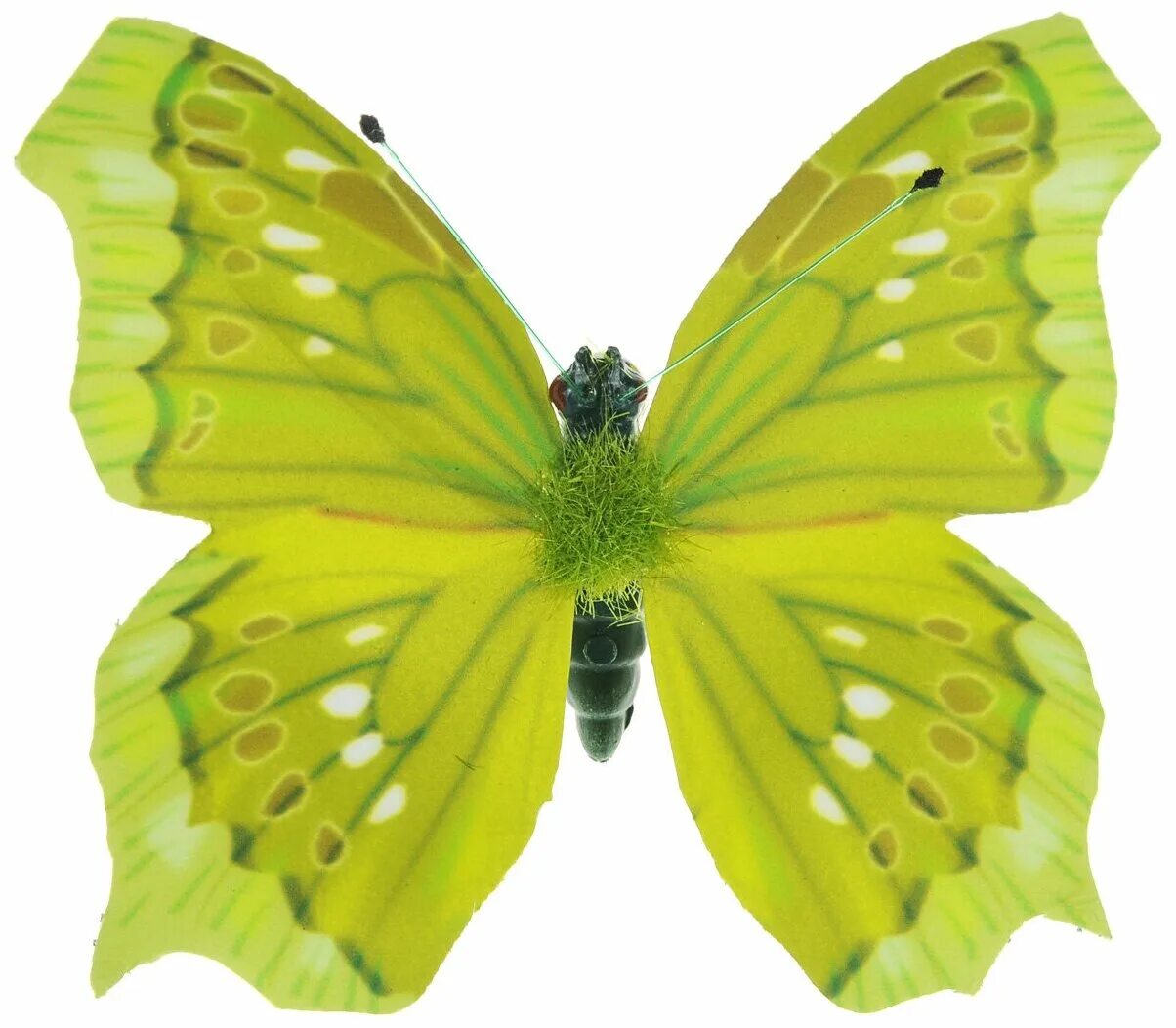 Желто зеленая бабочка. Салатовая бабочка. Бабочки зеленого цвета. Ярко салатовые бабочки.