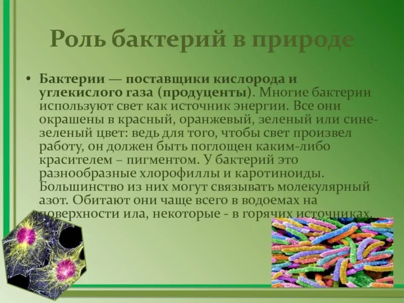 Источники энергии бактерий. Роль бактерий в природе. Роль микроорганизмов. Роль микроорганизмов в природе. Функции микроорганизмов в природе.