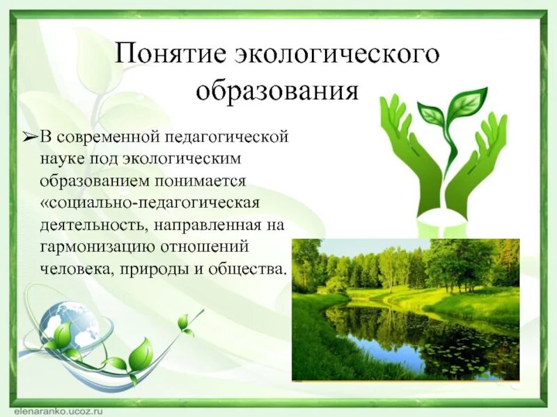 Теория экологического образования. Экологические понятия. Концепция экологического образования. Понятие экология. Экологизация образования.