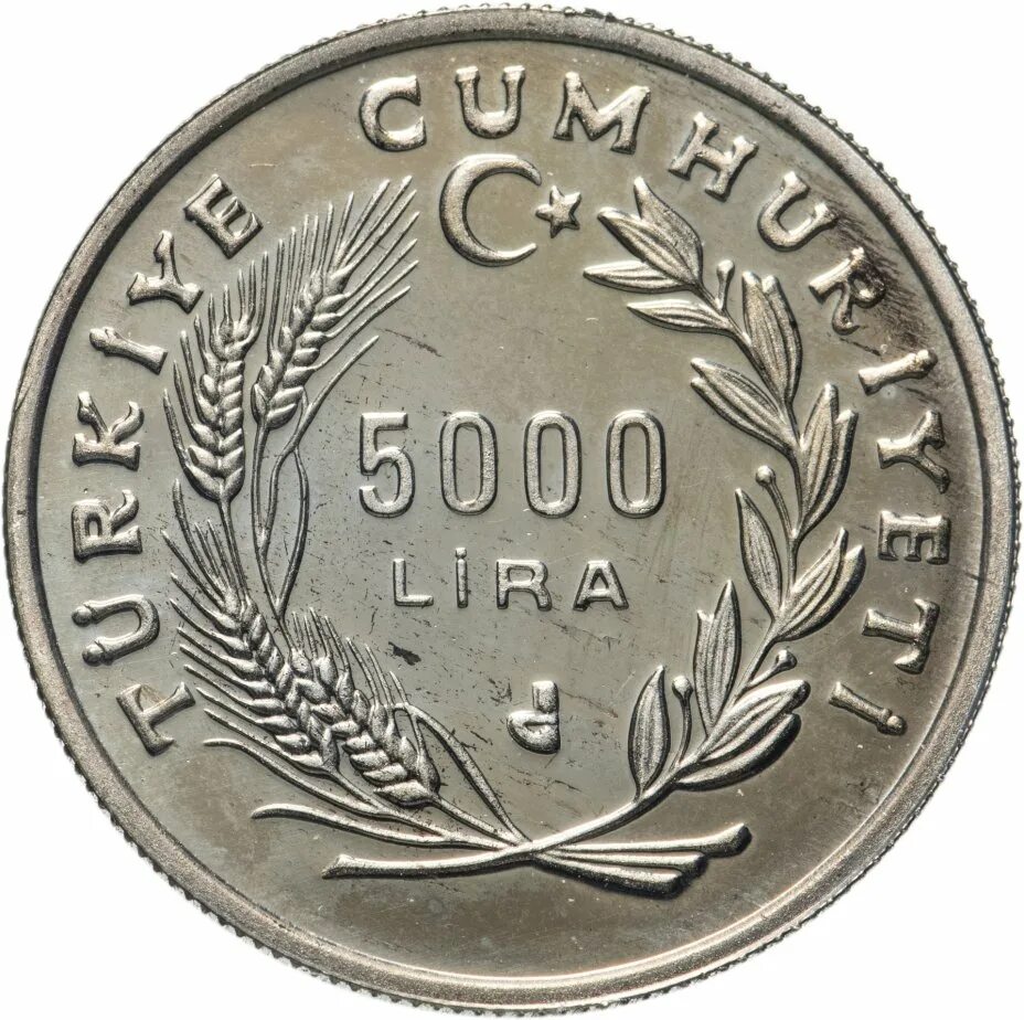 500 лир в рублях на сегодня. 5000 Лир. 5000 Лир Турция 1993. 5000 Турецких лир. Монета 5000 лир Турция 1992 года.