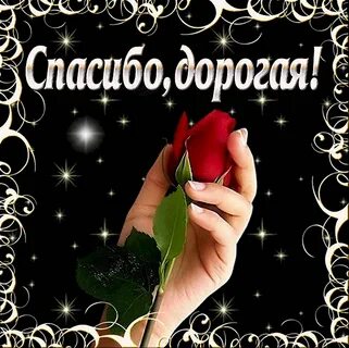 Благодарность за хорошее отношение