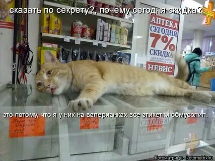 Почему сегодня не работают доставки